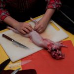 field-to-feast-taxidermy-4