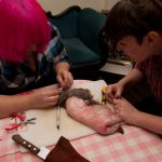 field-to-feast-taxidermy-45