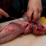 field-to-feast-taxidermy-5