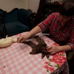 field-to-feast-taxidermy-54