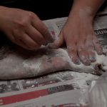 field-to-feast-taxidermy-57
