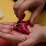 field-to-feast-taxidermy-6