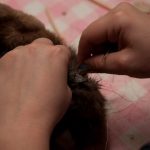 field-to-feast-taxidermy-76