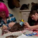 field-to-feast-taxidermy-80